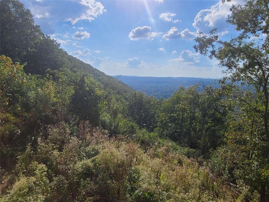 1324 Talona Mountain Road