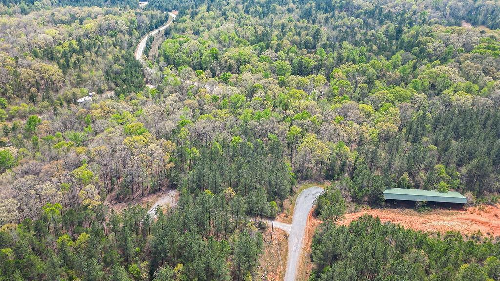 Long Pine Lane, Elberton, Georgia image 4