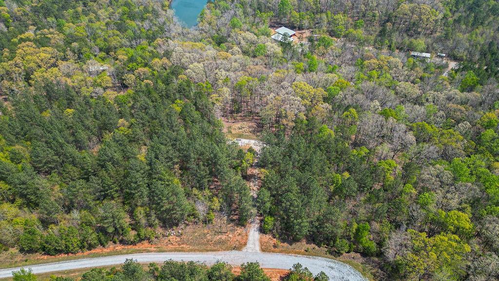 Long Pine Lane, Elberton, Georgia image 14