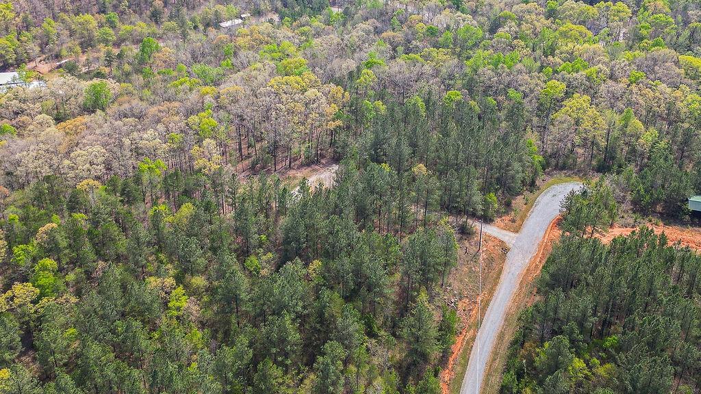 Long Pine Lane, Elberton, Georgia image 16