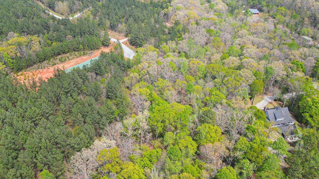 Long Pine Lane, Elberton, Georgia image 18