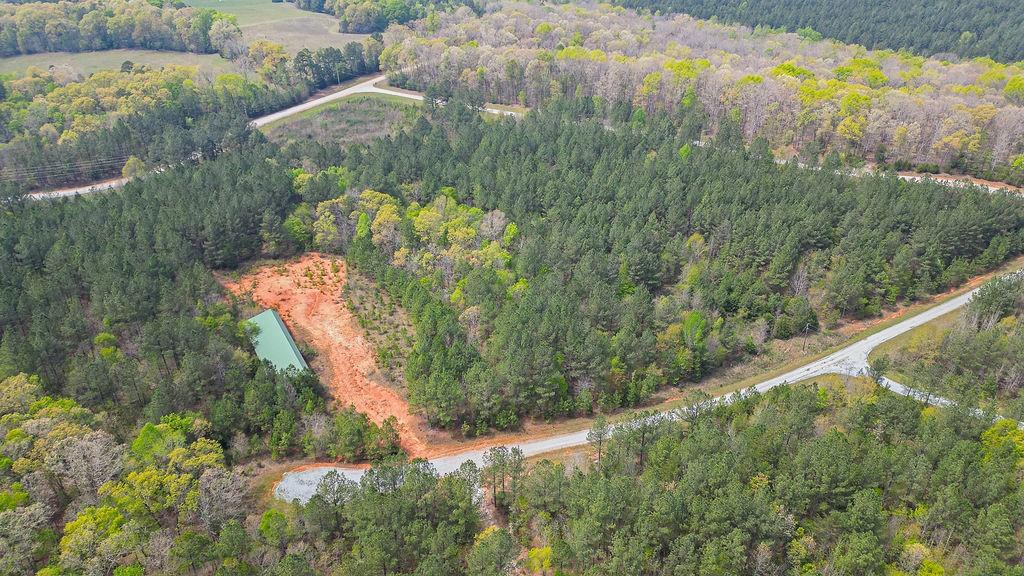 Long Pine Lane, Elberton, Georgia image 21