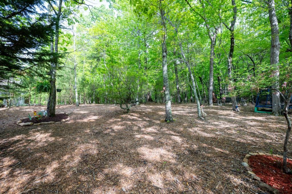 2540 Tamarack Drive, Jasper, Georgia image 9