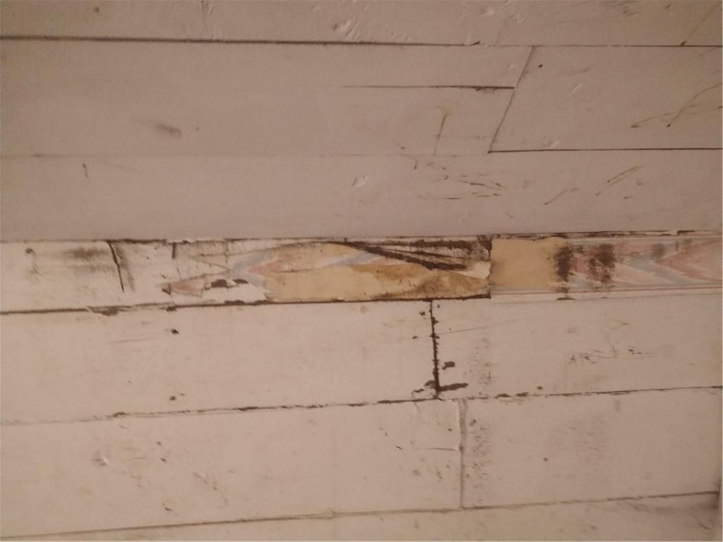 listing image 48
