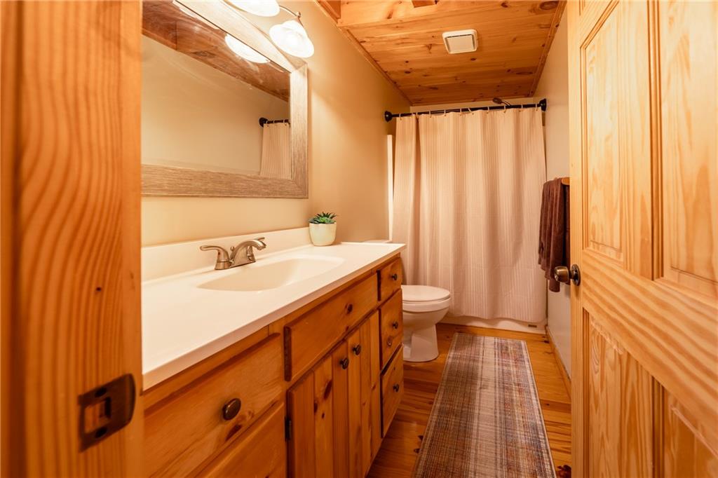 285 Julep Circle, Ellijay, Georgia image 33