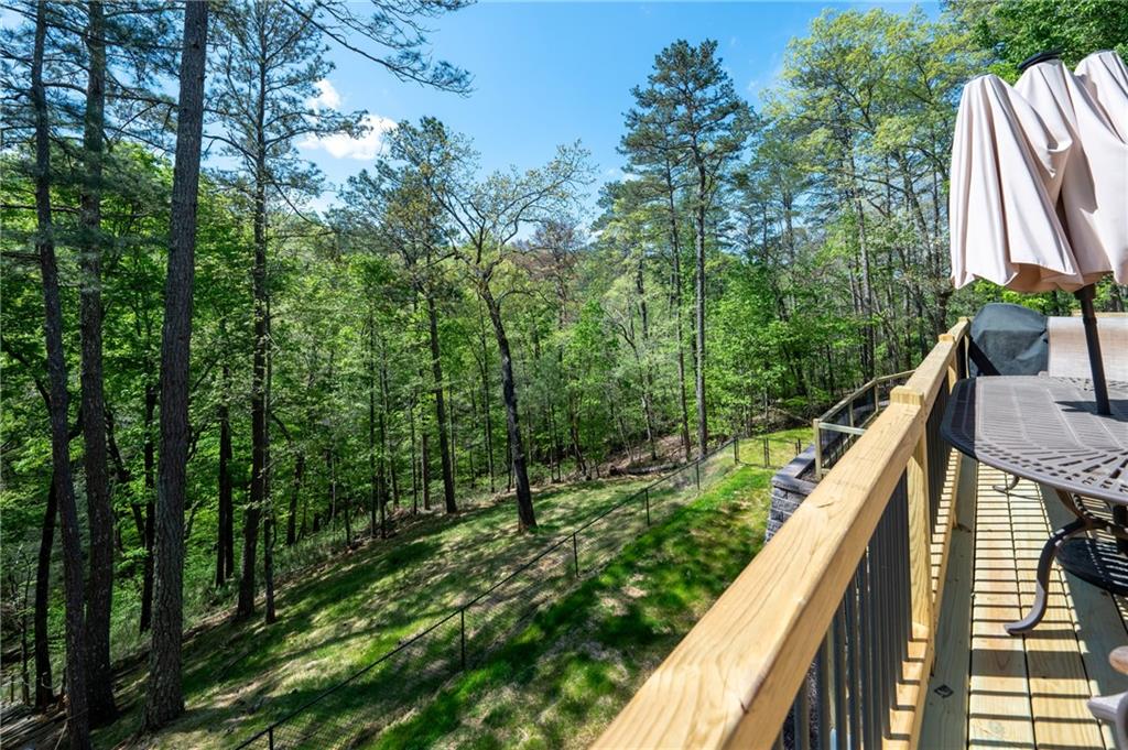 285 Julep Circle, Ellijay, Georgia image 30