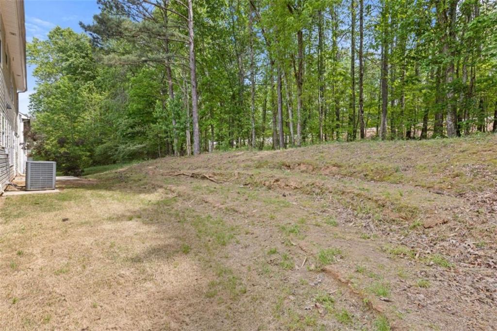 1450 Steam Engine Way, Conyers, Georgia image 26