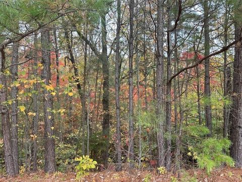 125 Spring Lake Lane White GA 30184