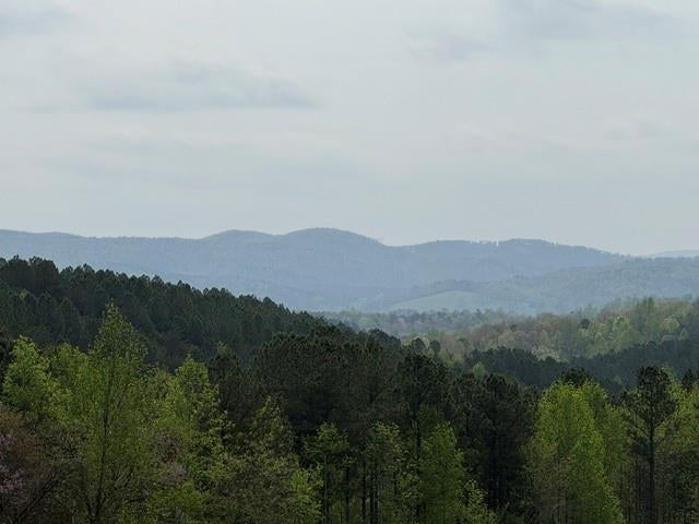 1100 Fuller Mountain