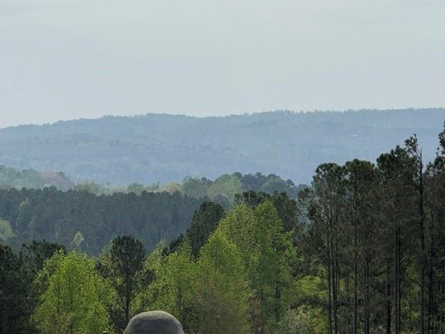 1100 Fuller Mountain