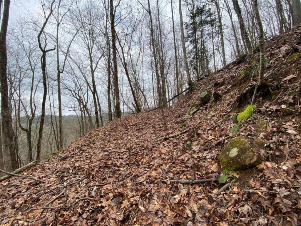 4 ACRE Scenic Way, Ellijay, Georgia image 8