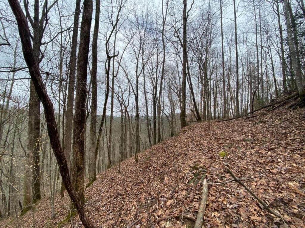 4 ACRE Scenic Way, Ellijay, Georgia image 9