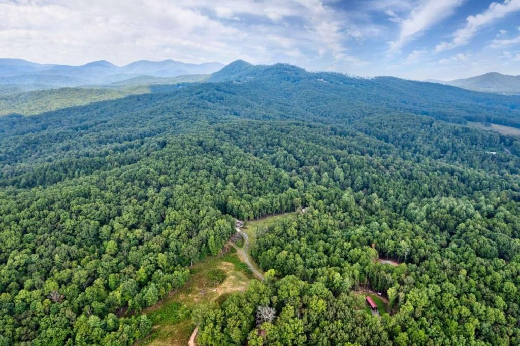 21 Ac Bear Hollow Drive