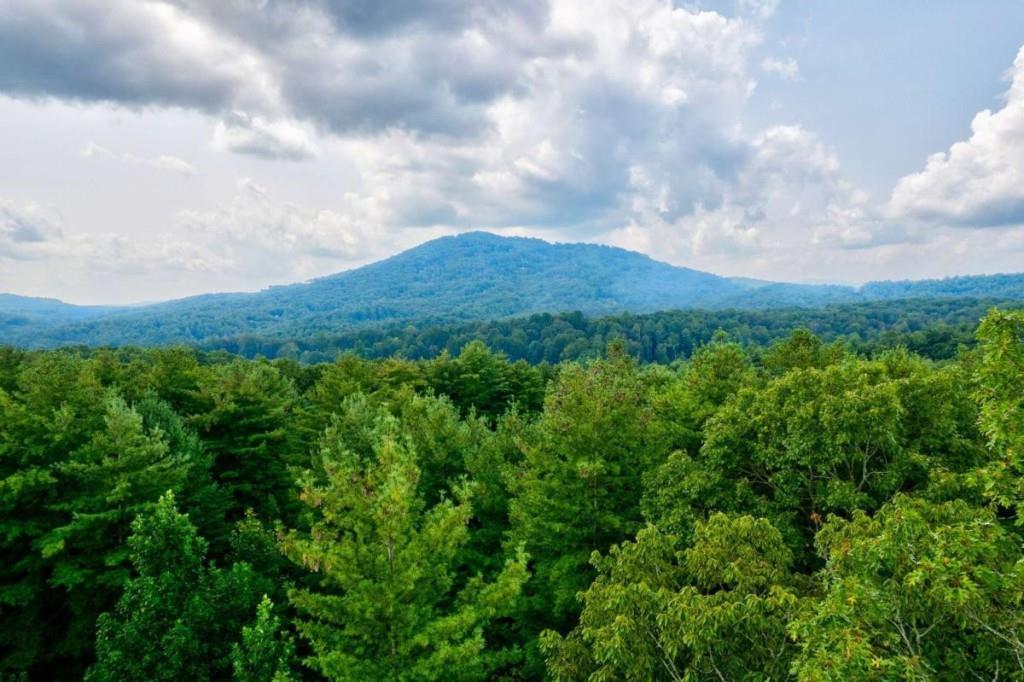 21 Ac Bear Hollow Drive