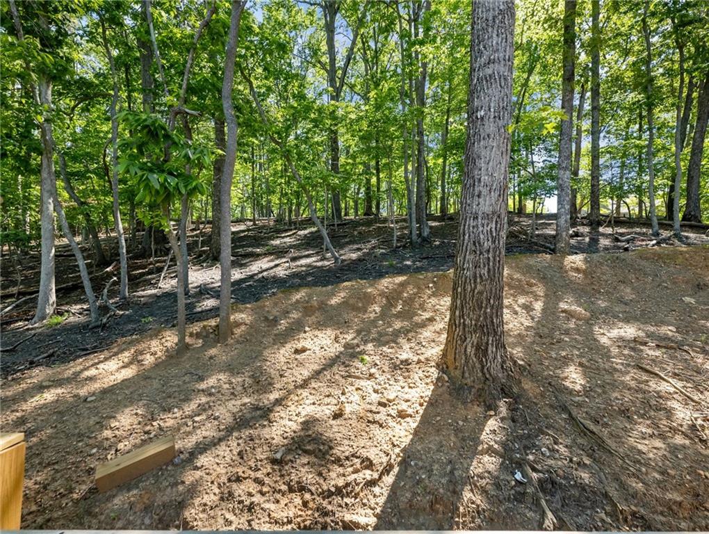 238 Lakeview Circle, Waleska, Georgia image 30