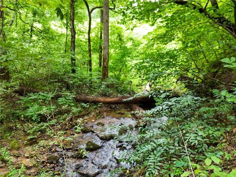 Vacant Land For Sale - Highway 76 East<br/> Clayton, GA 30525