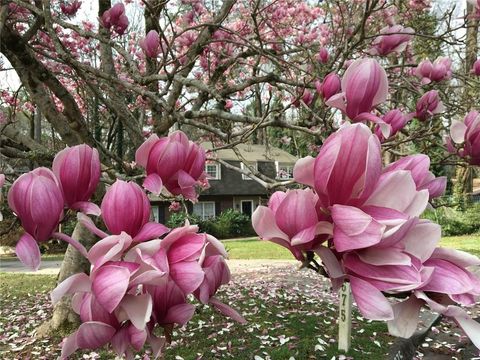 3675 Toxaway Court Atlanta GA 30341