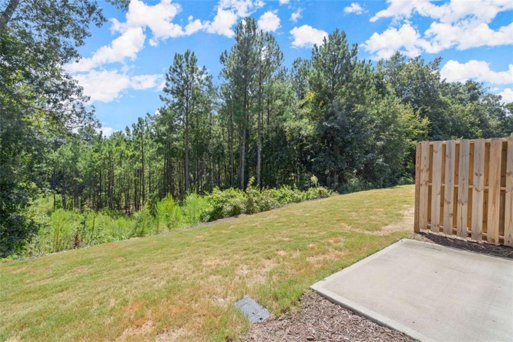 1409 Ben Park Way, Grayson, Georgia image 33