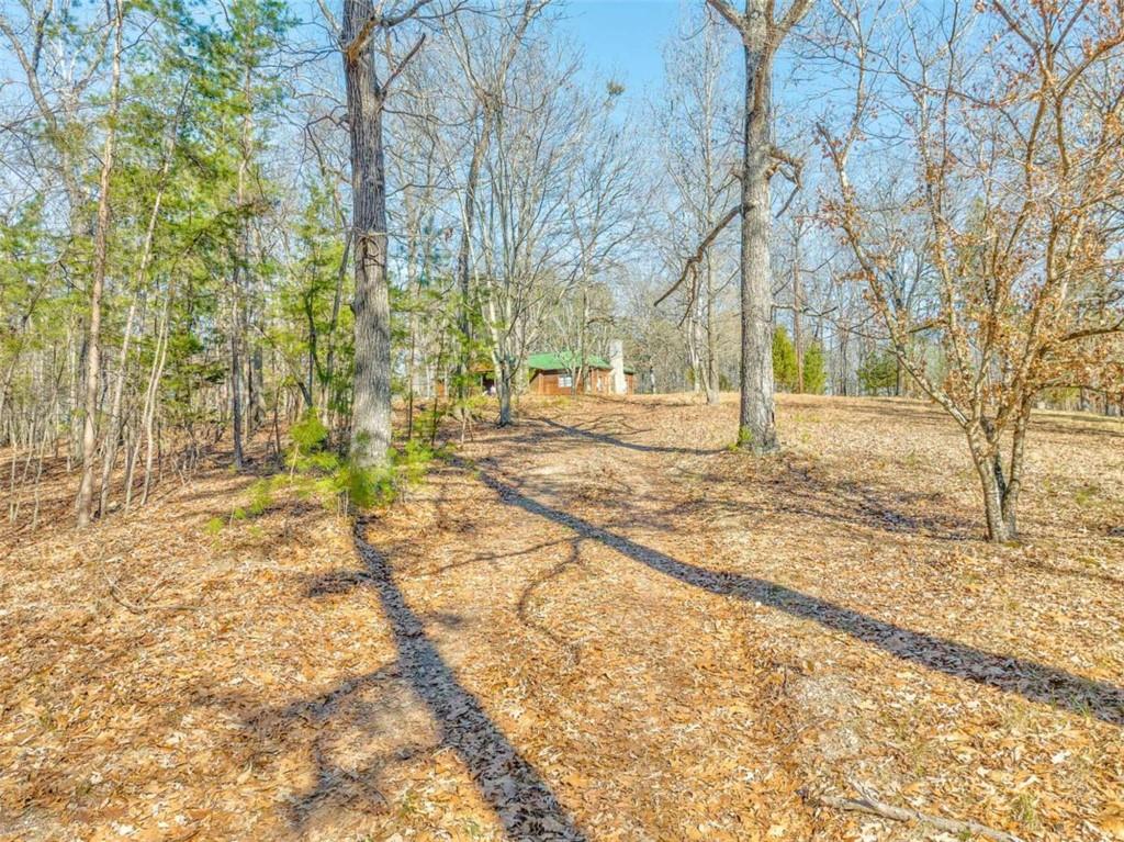 331 Kansas Dr, Trion, Georgia image 4