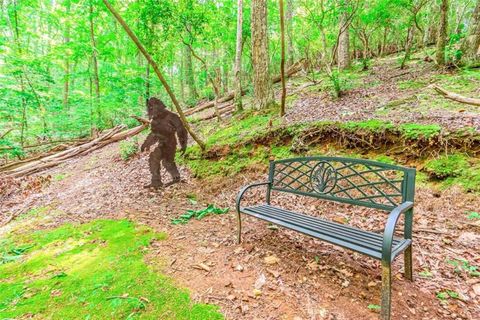 A home in Ellijay