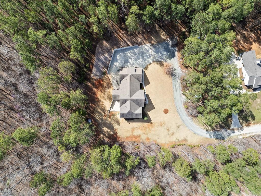 1427 Tibbitts Road, Dallas, Georgia image 4