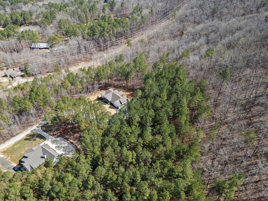 1427 Tibbitts Road, Dallas, Georgia image 7