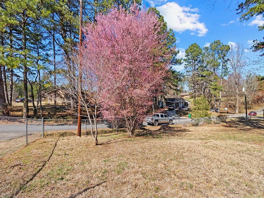 120 Semi Circle Drive, Demorest, Georgia image 47