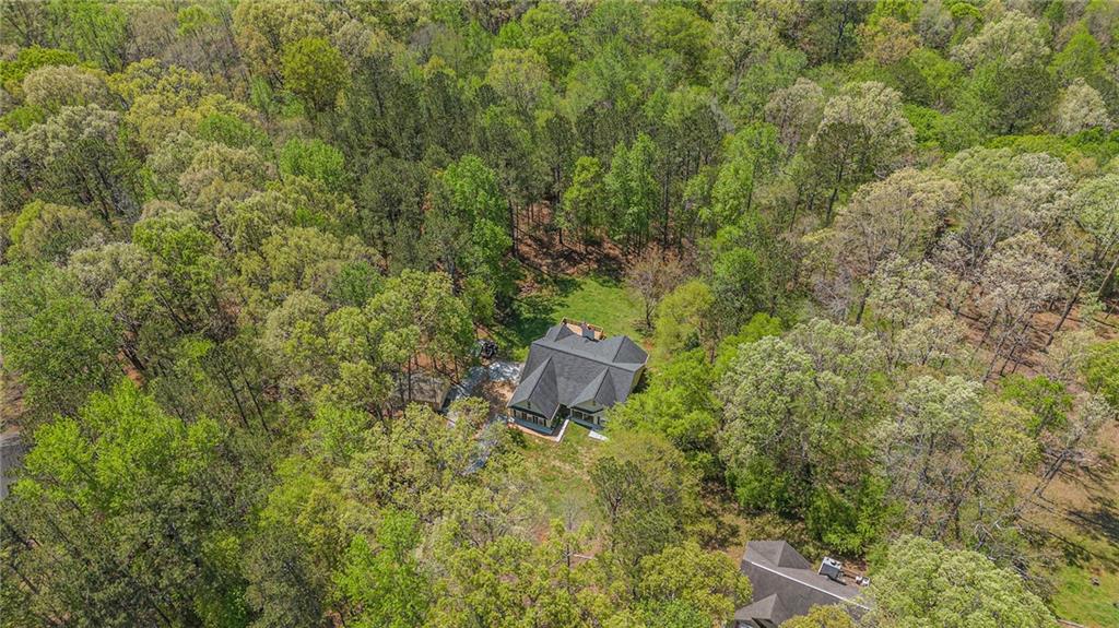 285 Willow Shoals Drive, Covington, Georgia image 39