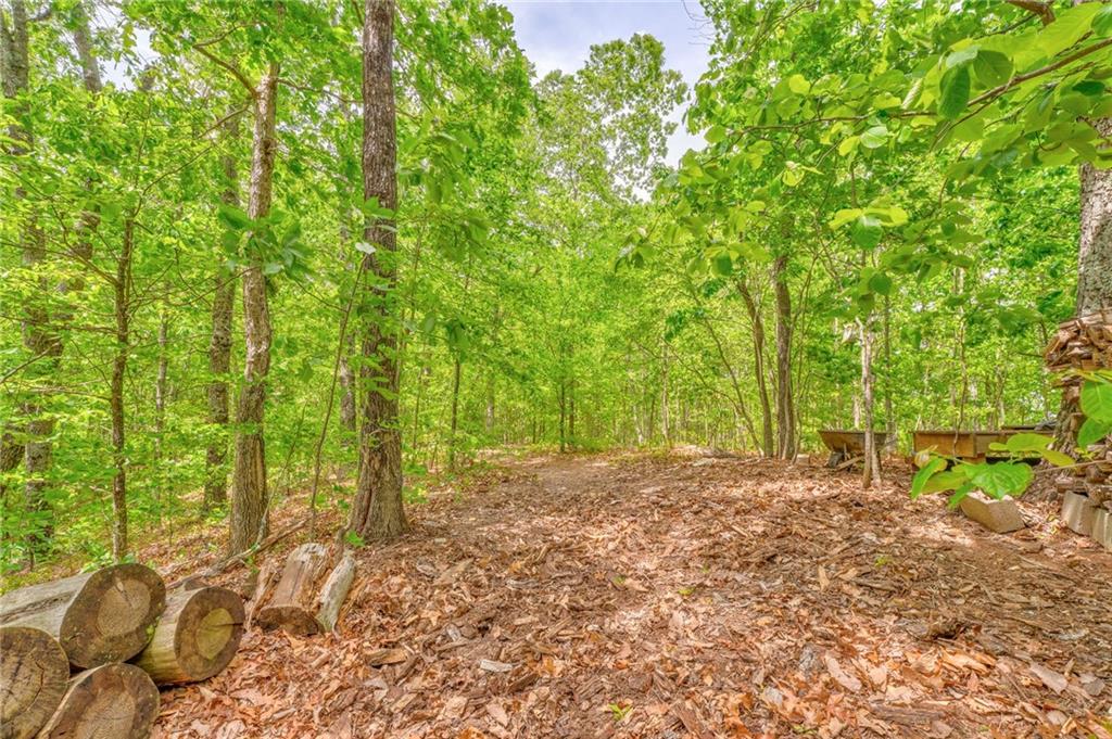 440 Treat Mountain Road, Cedartown, Georgia image 27