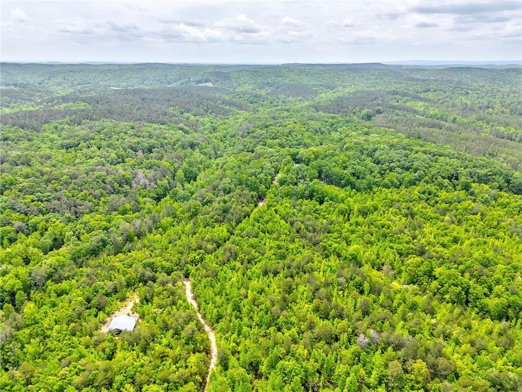 440 Treat Mountain Road, Cedartown, Georgia image 3