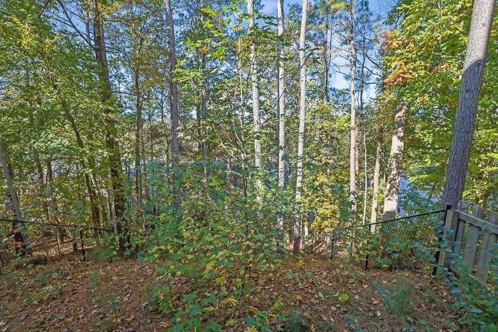 Chattahoochie Cove - Residential