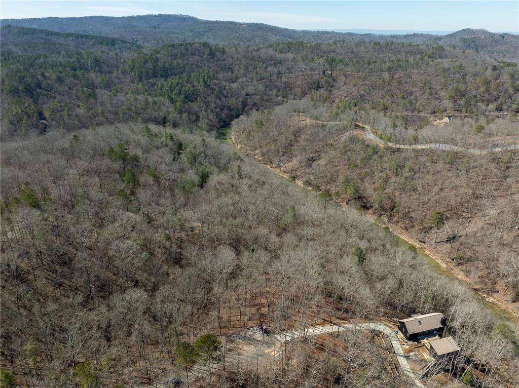 River Top, Talking Rock, Georgia image 18