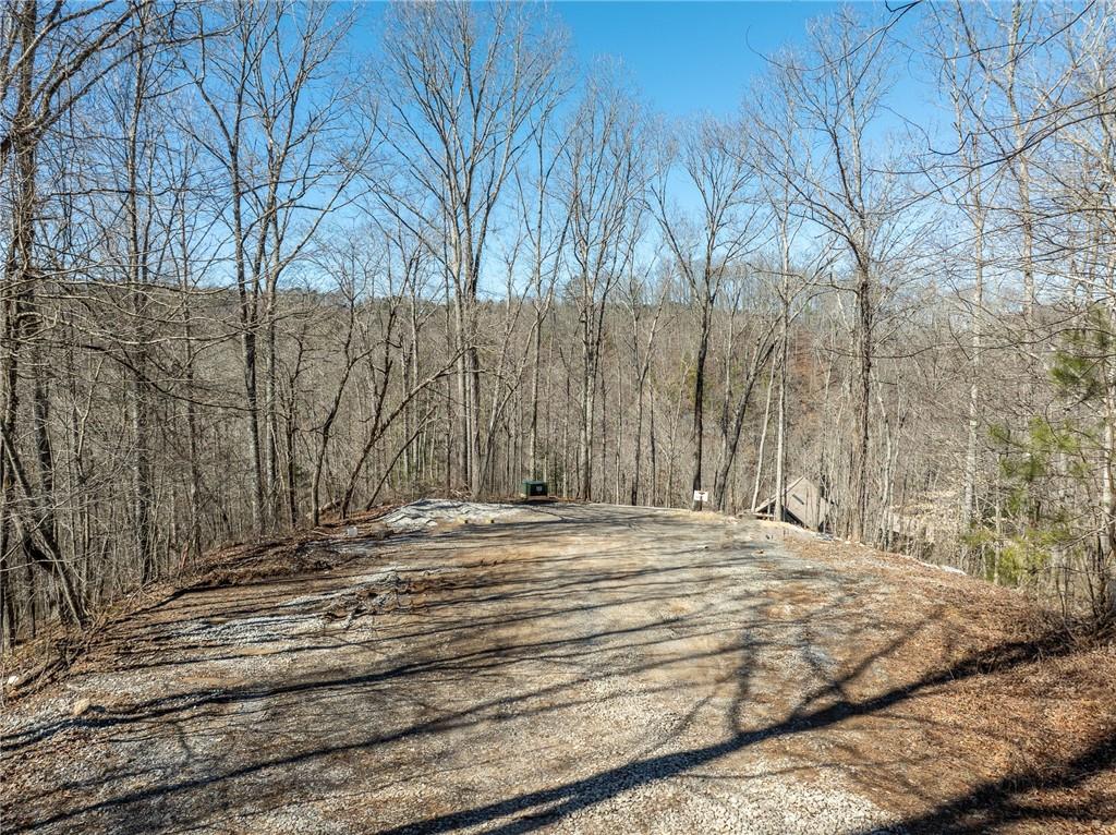 River Top, Talking Rock, Georgia image 13