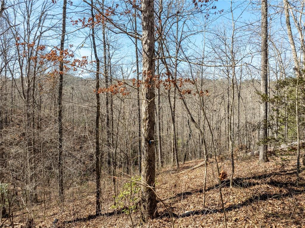 River Top, Talking Rock, Georgia image 15