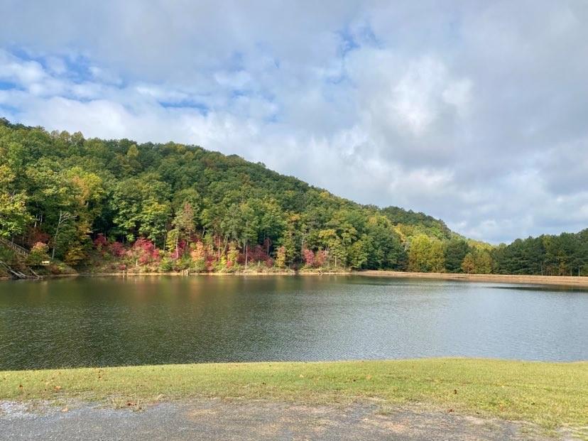 River Top, Talking Rock, Georgia image 45