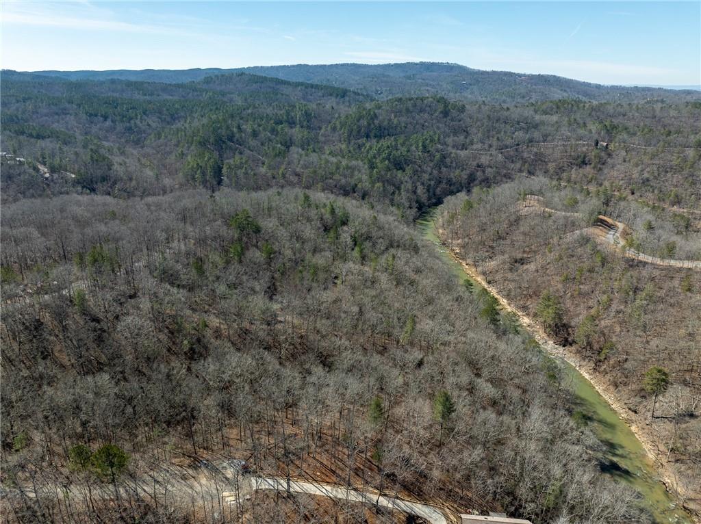 River Top, Talking Rock, Georgia image 19