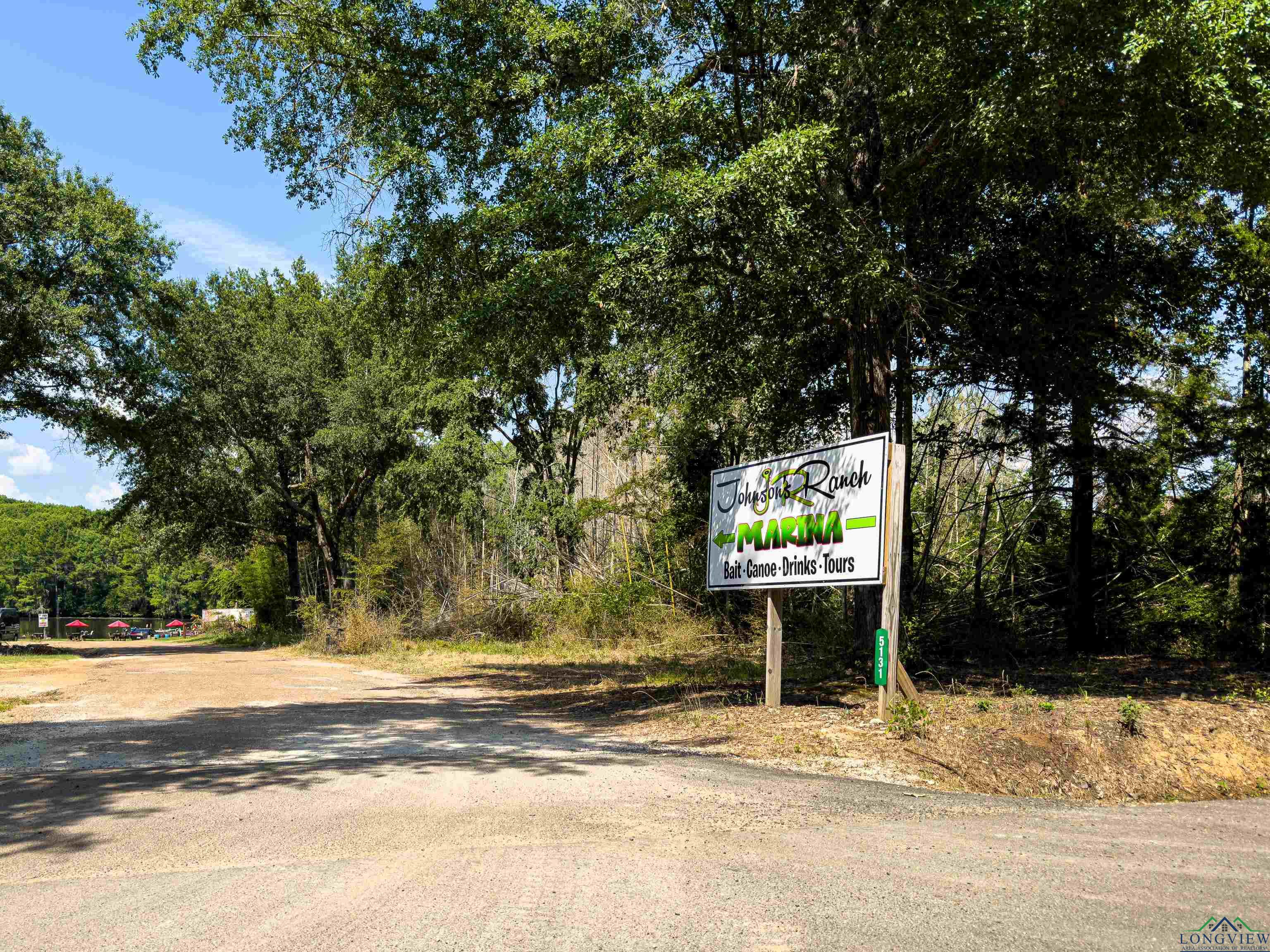 TBD Fm 2198 Lot 2, Karnack, Texas image 12