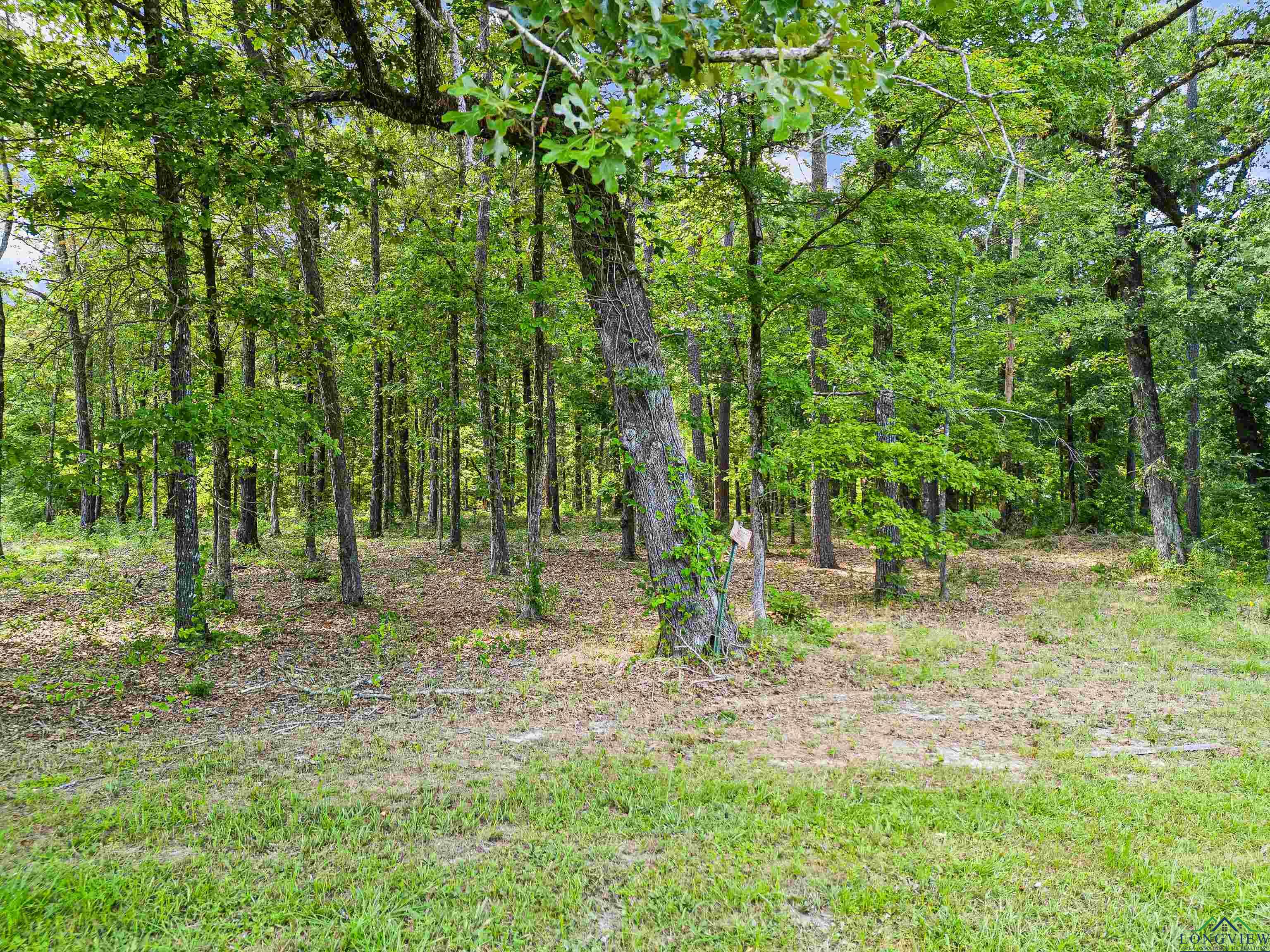 TBD Fm 2198 Lot 2, Karnack, Texas image 17