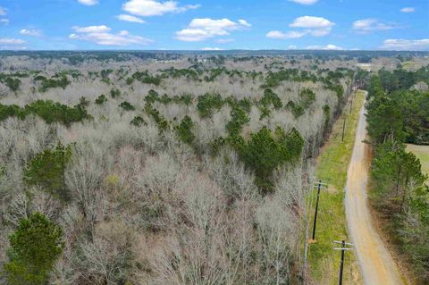 Vacant Land For Sale - TBD St Highway 147<br/> Shelby County, Center, TX 75935