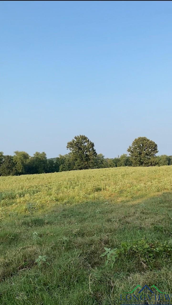 TBD Cr 174, Overton, Texas image 3