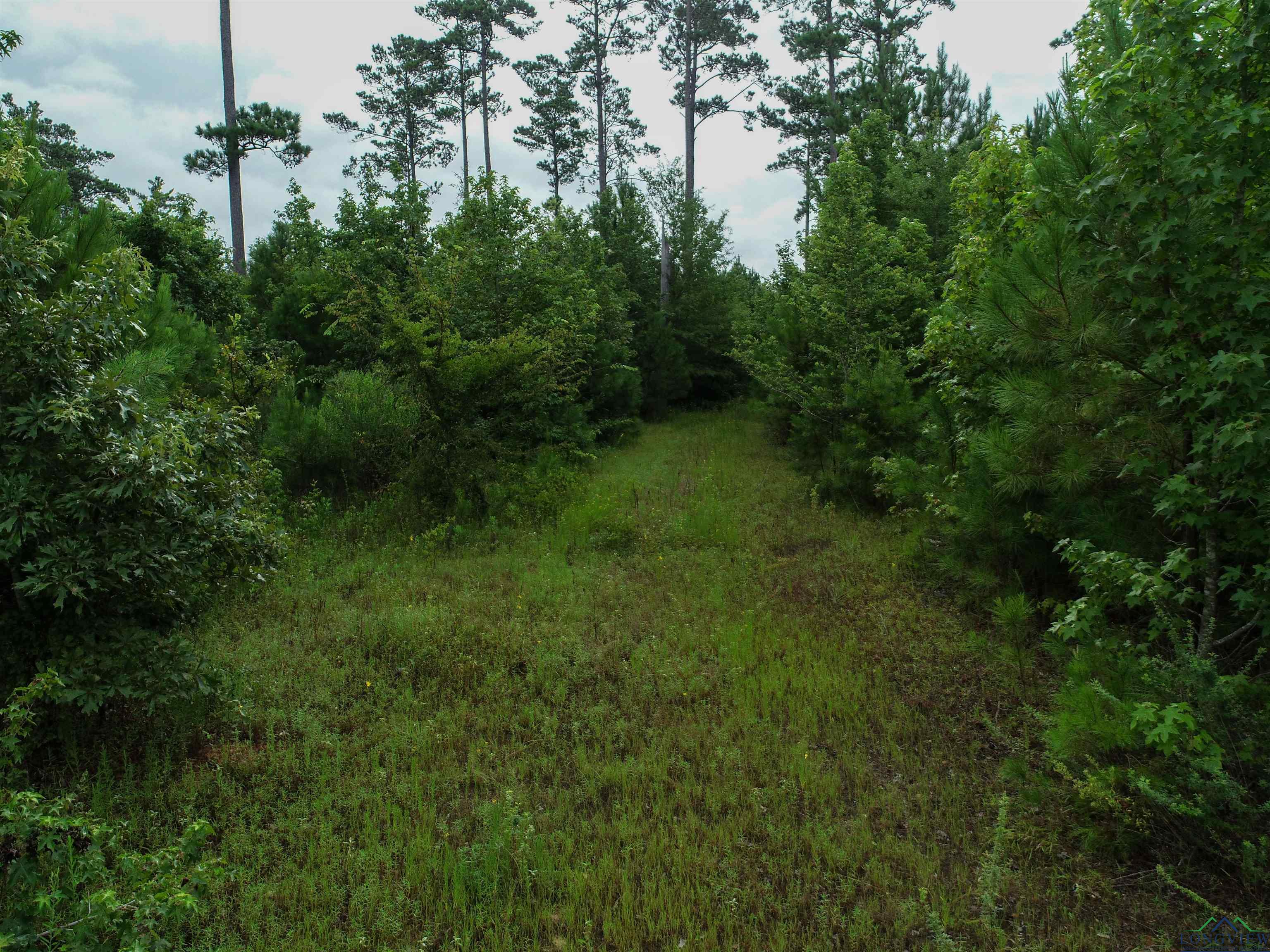 TBD Liberty Rd Tract 1, Jefferson, Texas image 10