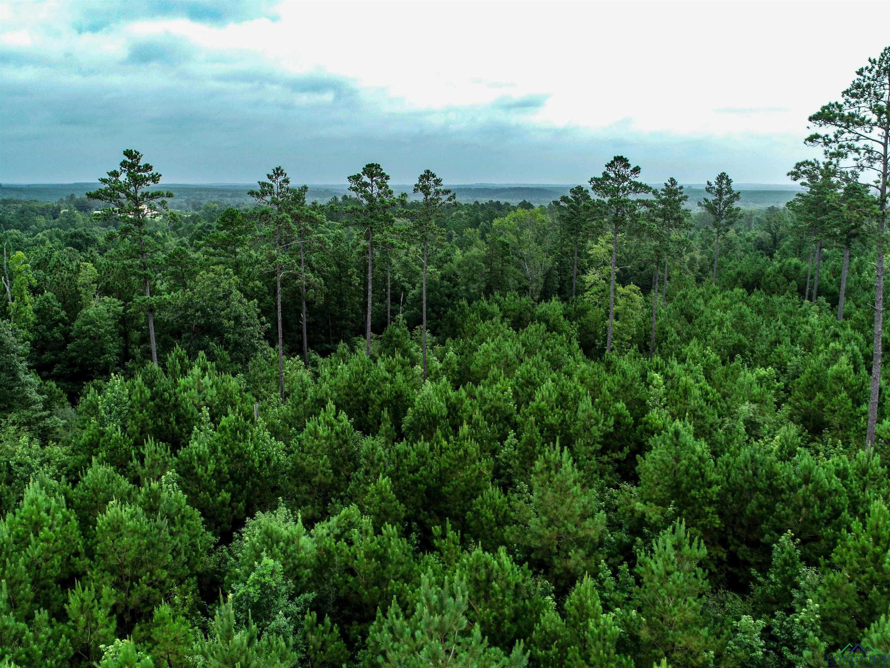 TBD Liberty Rd Tract 1, Jefferson, Texas image 2