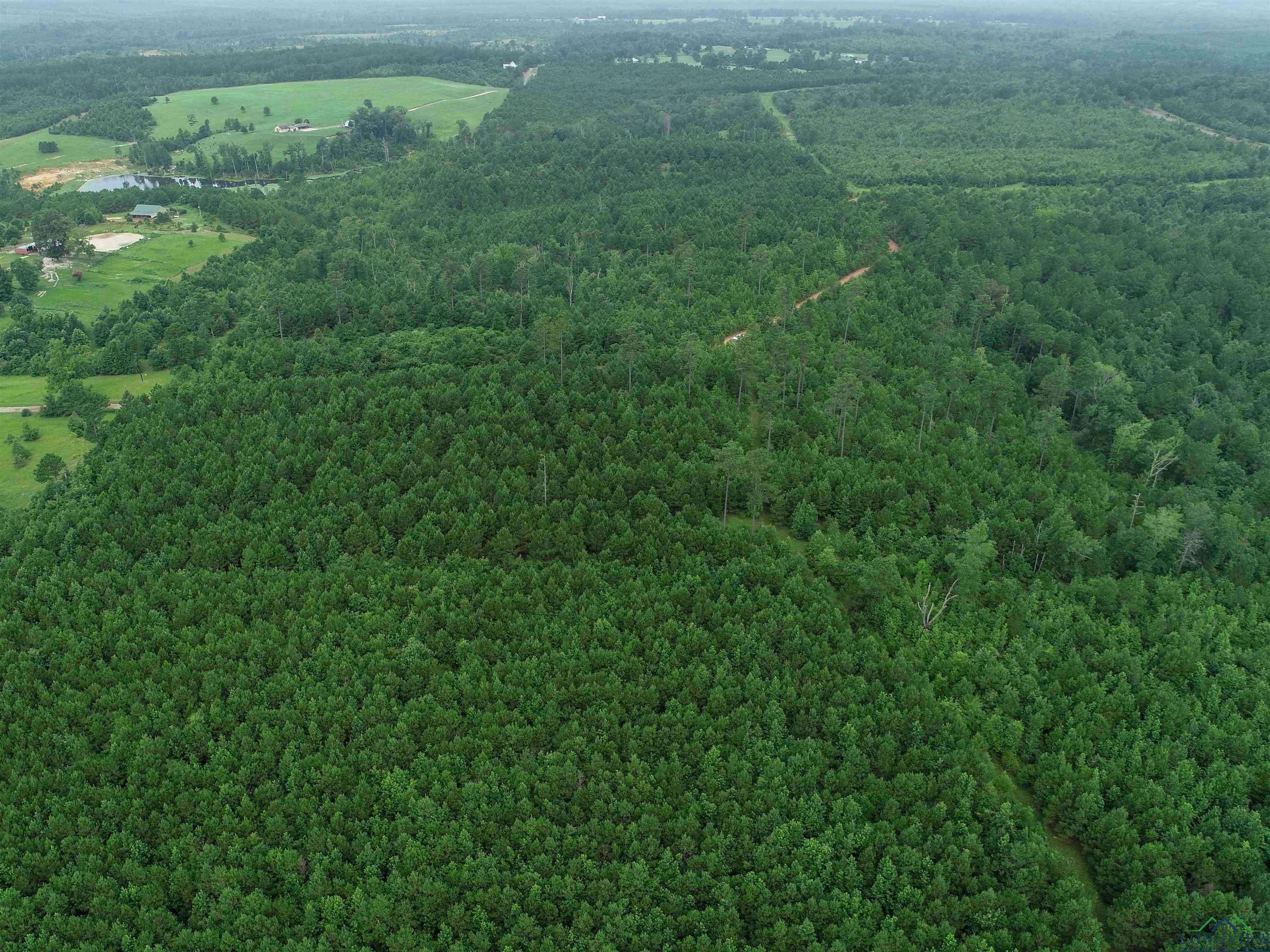 TBD Liberty Rd Tract 1, Jefferson, Texas image 3