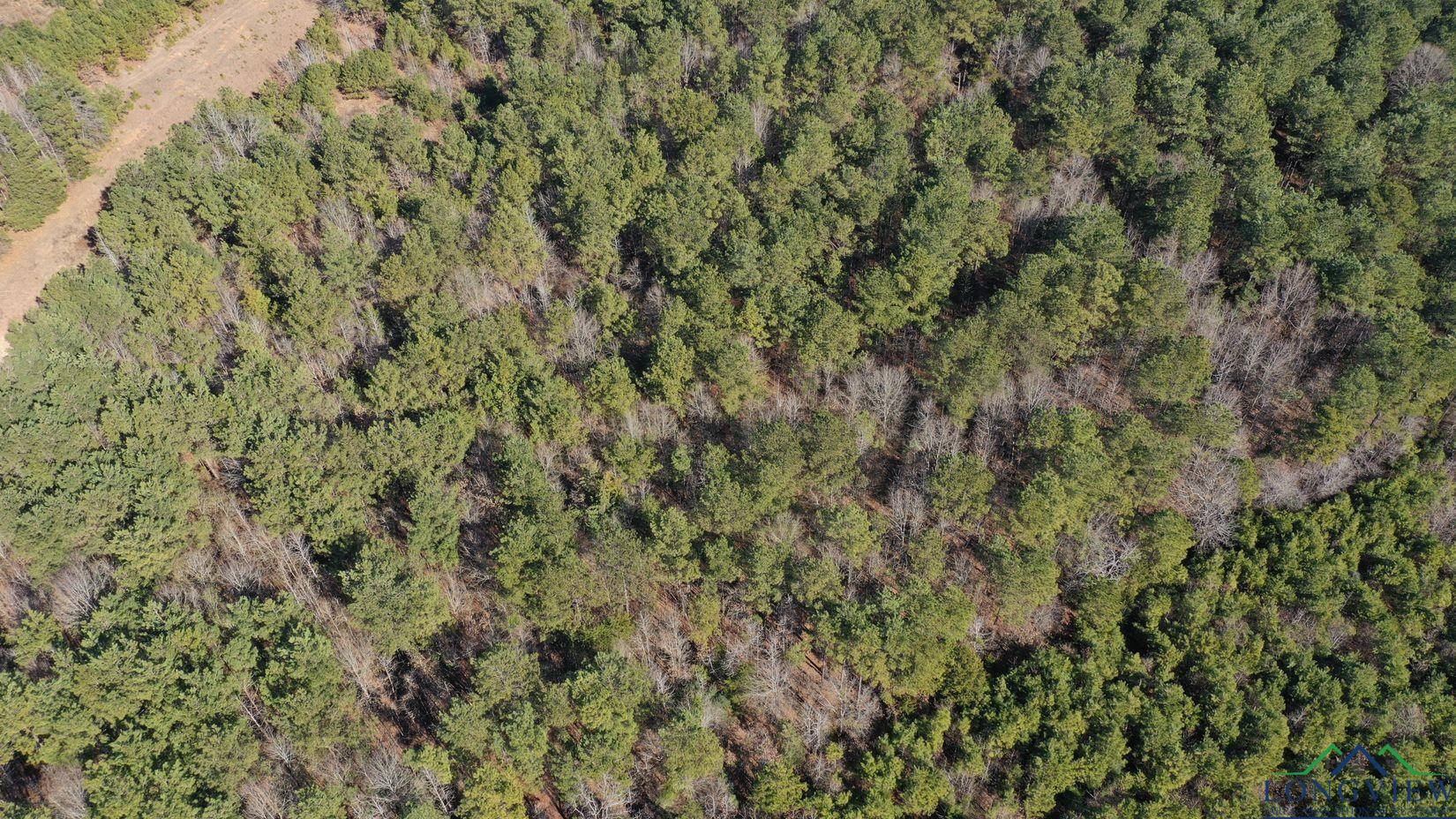 TBD W County Road 4224 Drive, Atlanta, New Mexico image 4