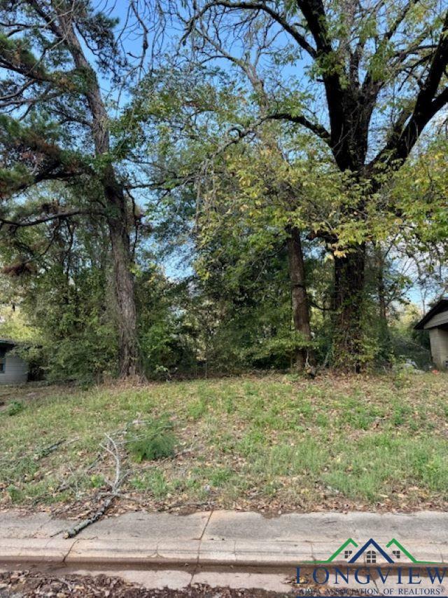 225 Byrne Ave, Lone Star, Texas image 1