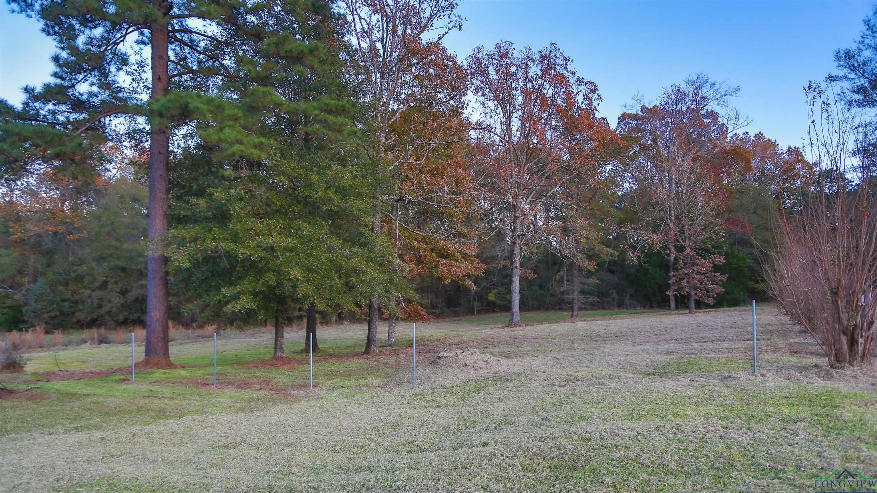 587 Floyd Evans Rd, Marshall, Texas image 6