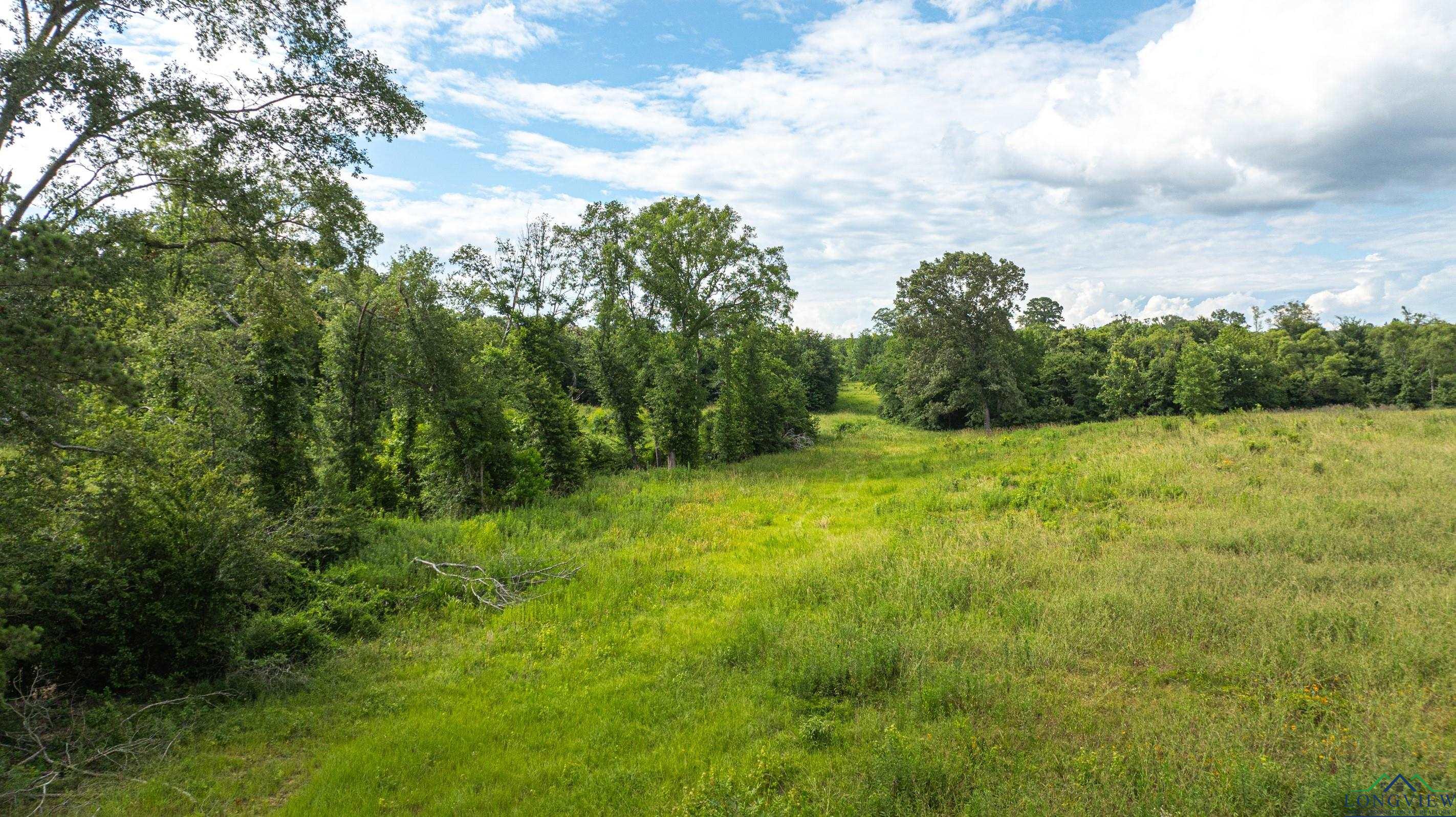 TBD E County Road 376, Henderson, Texas image 3