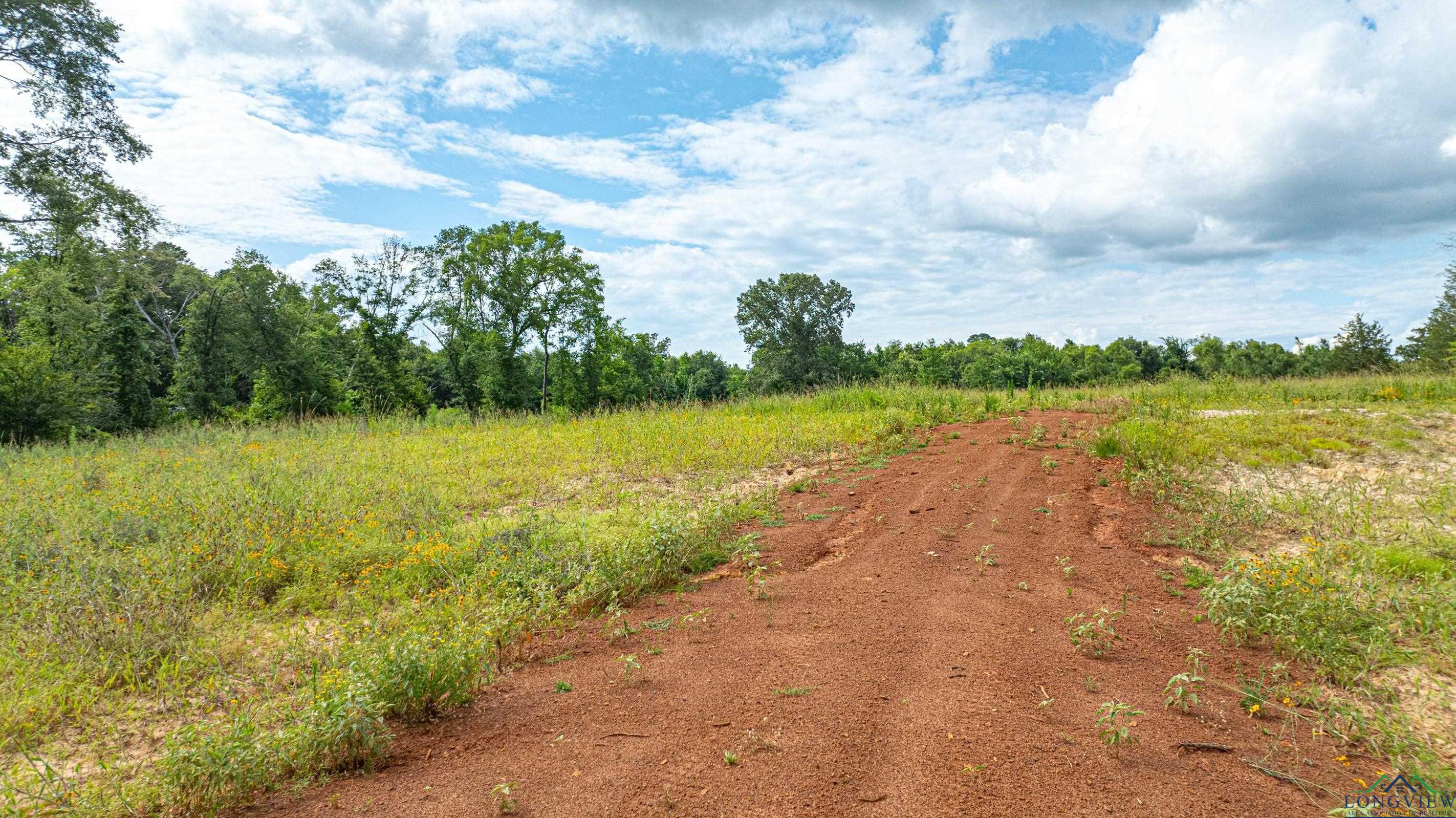 TBD E County Road 376, Henderson, Texas image 2