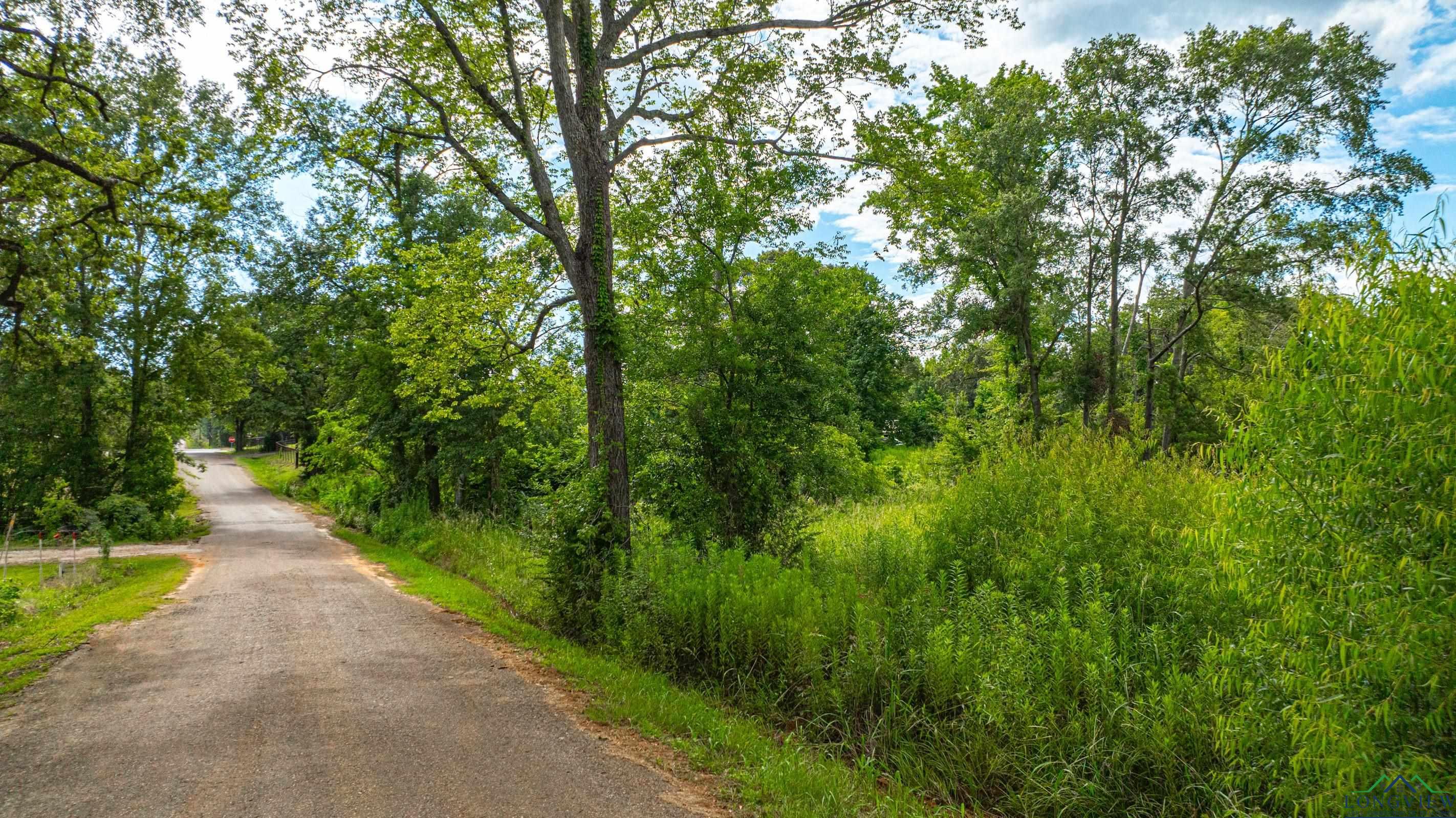 TBD E County Road 376, Henderson, Texas image 1