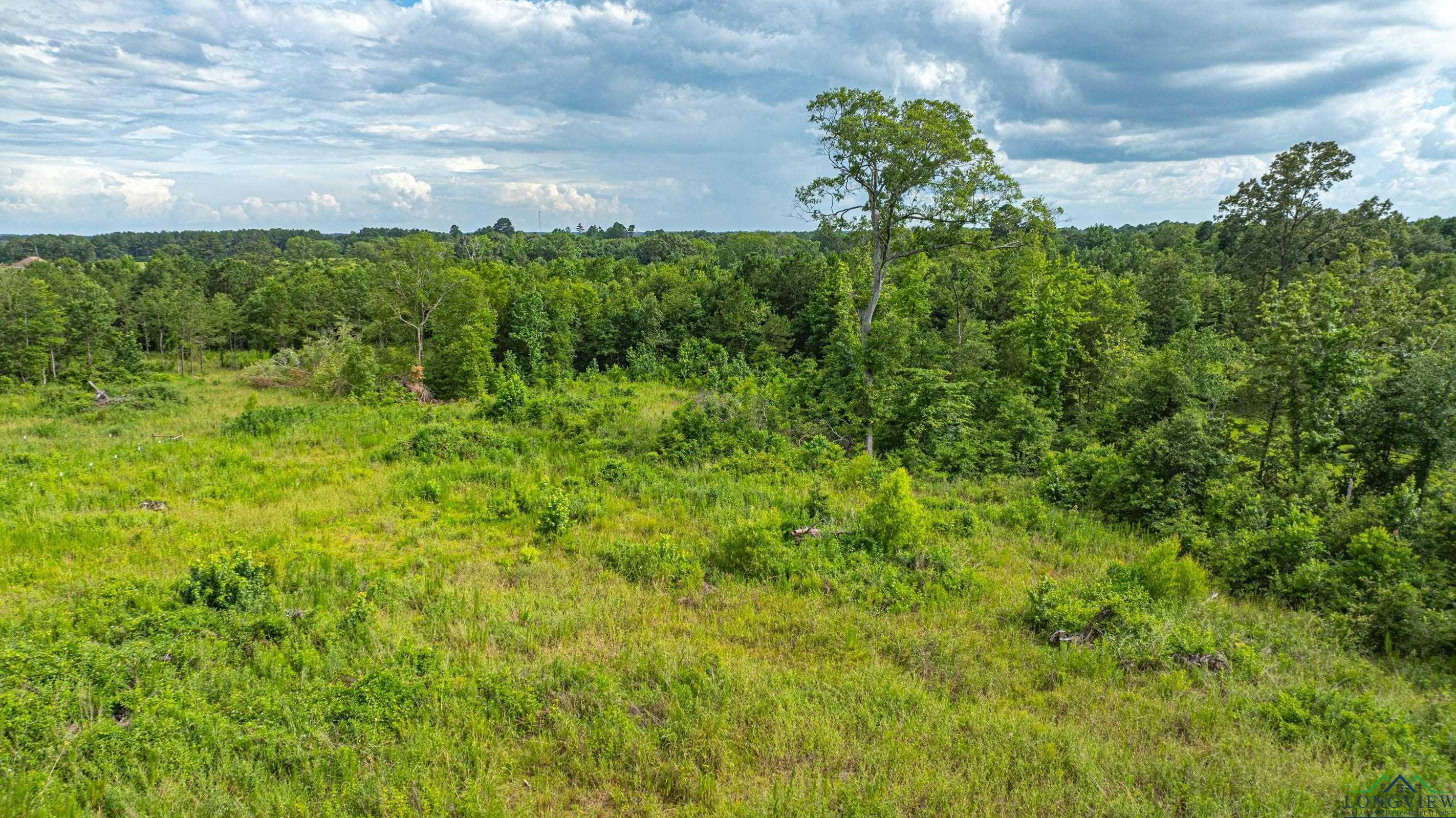 TBD E County Road 376, Henderson, Texas image 5